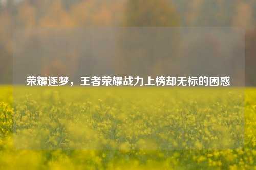 荣耀逐梦,王者荣耀战力上榜却无标的困惑
