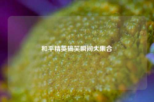 和平精英搞笑瞬间大集合