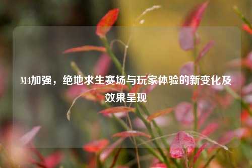 M4加强，绝地求生赛场与玩家体验的新变化及效果呈现