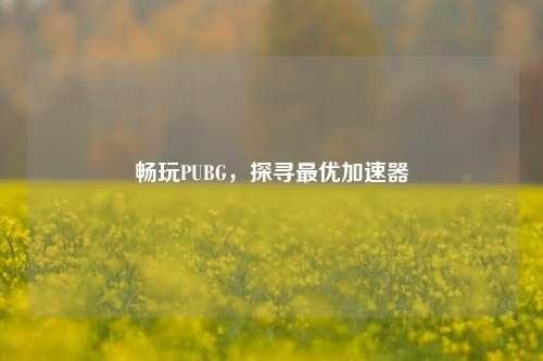 畅玩PUBG,探寻最优加速器
