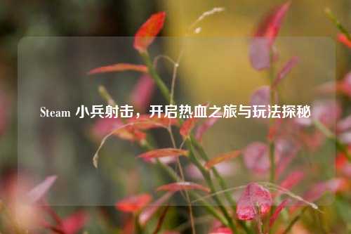 Steam 小兵射击,开启热血之旅与玩法探秘