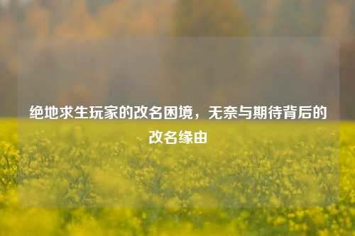 绝地求生玩家的改名困境,无奈与期待背后的改名缘由
