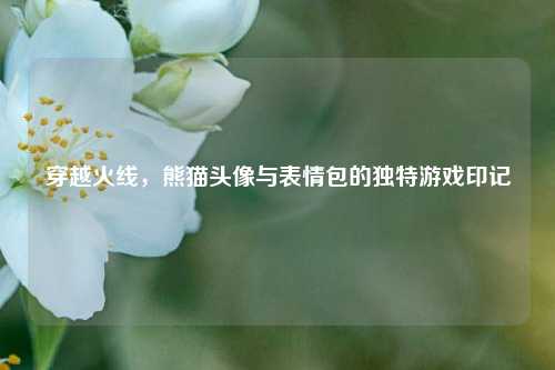 穿越火线,熊猫头像与表情包的独特游戏印记