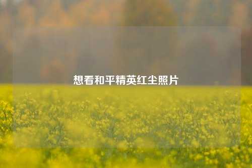 想看和平精英红尘照片