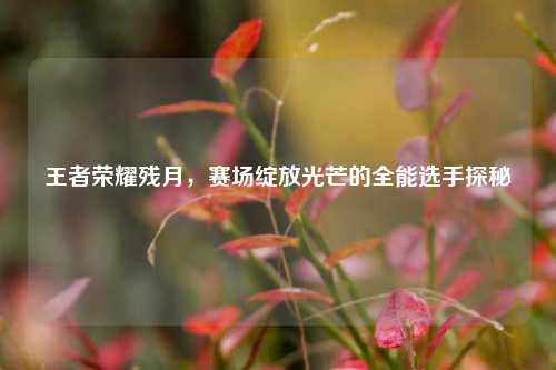 王者荣耀残月，赛场绽放光芒的全能选手探秘