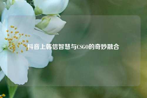 抖音上韩信智慧与CSGO的奇妙融合