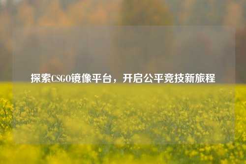 探索CSGO镜像平台，开启公平竞技新旅程