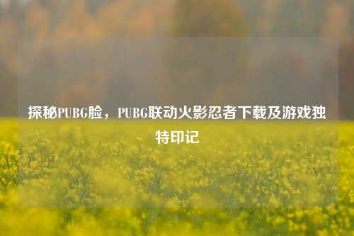 探秘PUBG脸,PUBG联动火影忍者下载及游戏独特印记