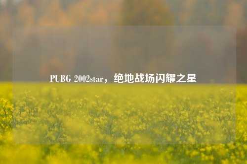 PUBG 2002star,绝地战场闪耀之星