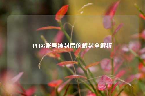 PUBG账号被封后的解封全解析