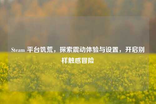 Steam 平台饥荒,探索震动体验与设置,开启别样触感冒险