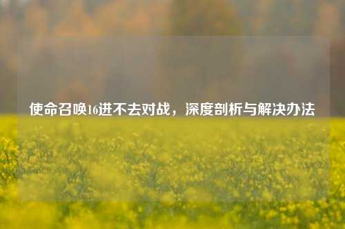 使命召唤16进不去对战，深度剖析与解决办法