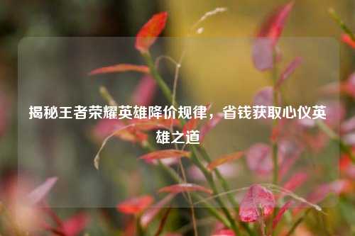 揭秘王者荣耀英雄降价规律,省钱获取心仪英雄之道