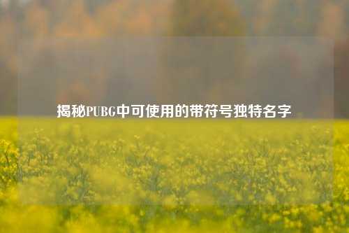揭秘PUBG中可使用的带符号独特名字
