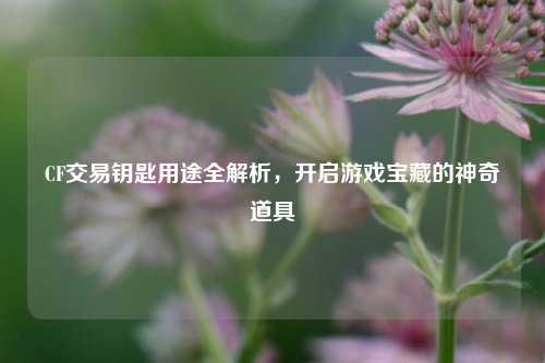 CF交易钥匙用途全解析,开启游戏宝藏的神奇道具