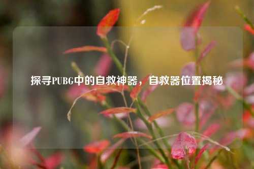 探寻PUBG中的自救神器，自救器位置揭秘