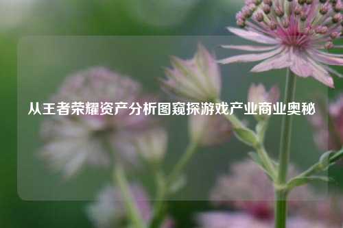 从王者荣耀资产分析图窥探游戏产业商业奥秘