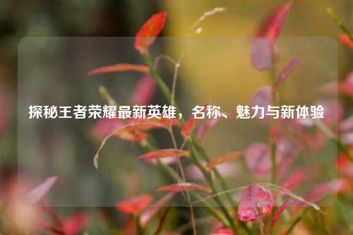 探秘王者荣耀最新英雄,名称、魅力与新体验