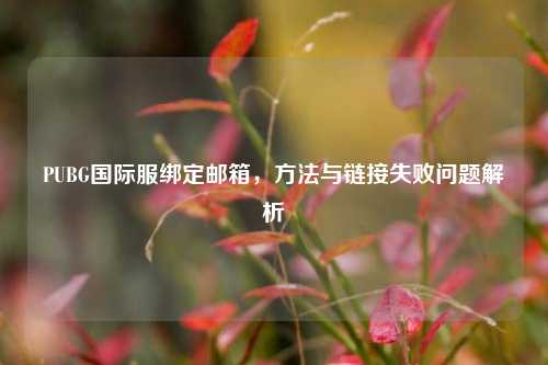 PUBG国际服绑定邮箱，方法与链接失败问题解析