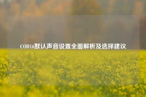 COD16默认声音设置全面解析及选择建议