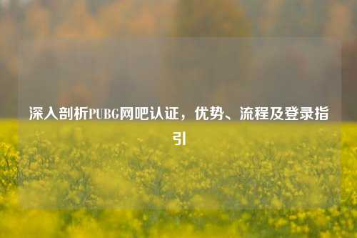 深入剖析PUBG网吧认证,优势、流程及登录指引