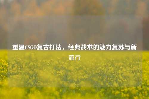 重温CSGO复古打法,经典战术的魅力复苏与新流行