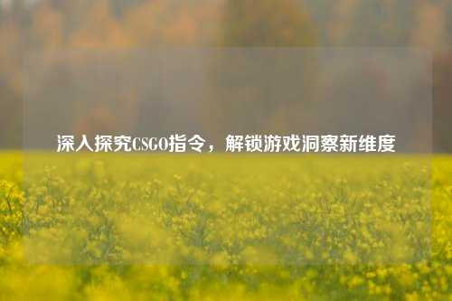 深入探究CSGO指令,解锁游戏洞察新维度