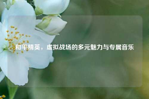 和平精英,虚拟战场的多元魅力与专属音乐