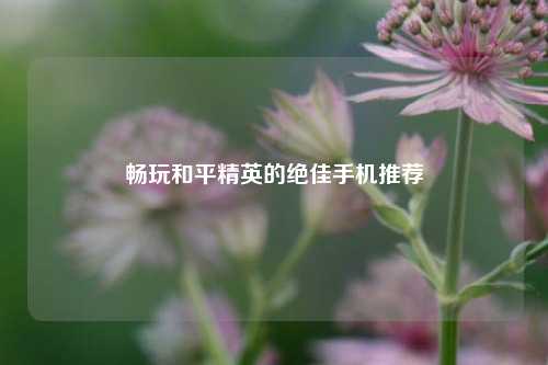 畅玩和平精英的绝佳手机推荐