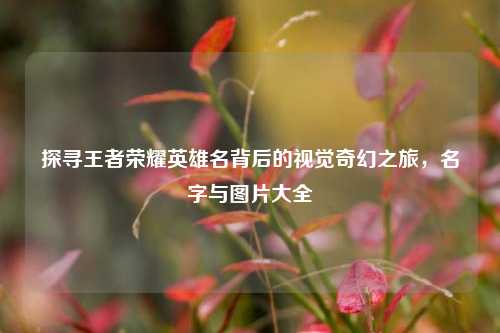 探寻王者荣耀英雄名背后的视觉奇幻之旅,名字与图片大全