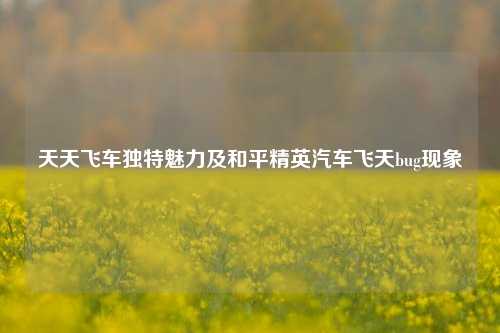 天天飞车独特魅力及和平精英汽车飞天bug现象