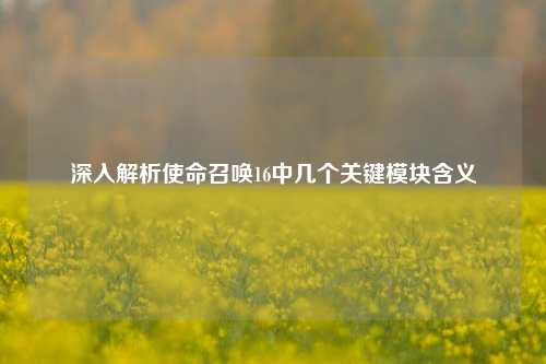 深入解析使命召唤16中几个关键模块含义