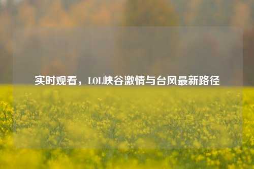 实时观看,LOL峡谷激情与台风最新路径