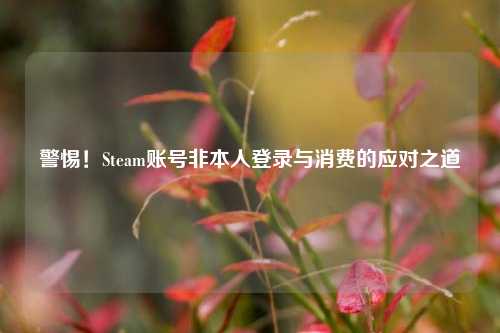 警惕！Steam账号非本人登录与消费的应对之道