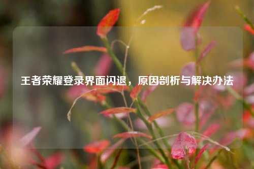 王者荣耀登录界面闪退,原因剖析与解决办法