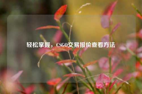 轻松掌握,CSGO交易报价查看方法