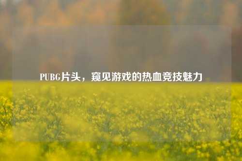 PUBG片头,窥见游戏的热血竞技魅力