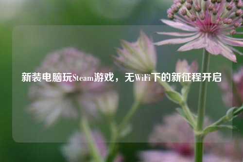 新装电脑玩Steam游戏,无WiFi下的新征程开启
