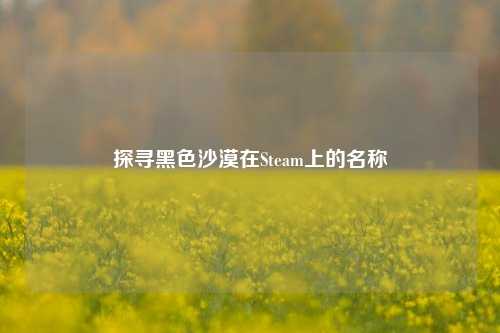 探寻黑色沙漠在Steam上的名称