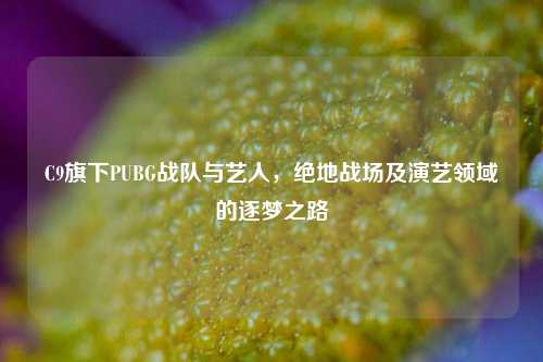 C9旗下PUBG战队与艺人,绝地战场及演艺领域的逐梦之路