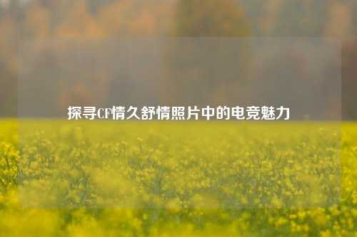探寻CF情久舒情照片中的电竞魅力