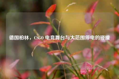 德国柏林,CSGO 电竞舞台与大范围停电的碰撞