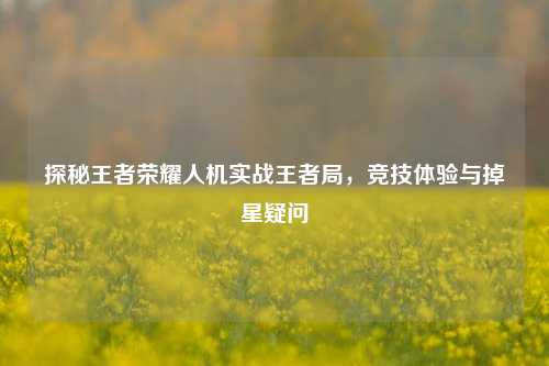 探秘王者荣耀人机实战王者局,竞技体验与掉星疑问