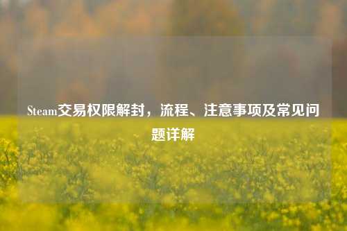 Steam交易权限解封,流程、注意事项及常见问题详解