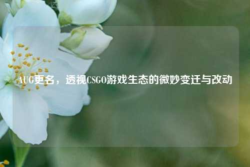 AUG更名,透视CSGO游戏生态的微妙变迁与改动