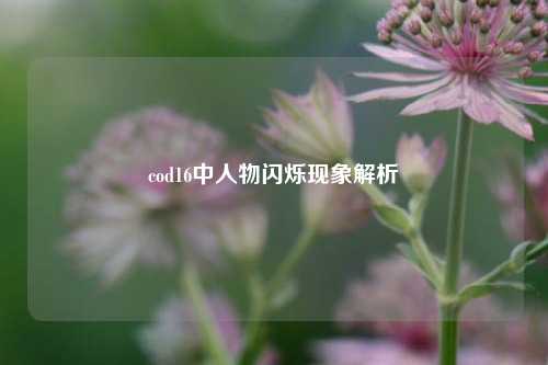 cod16中人物闪烁现象解析