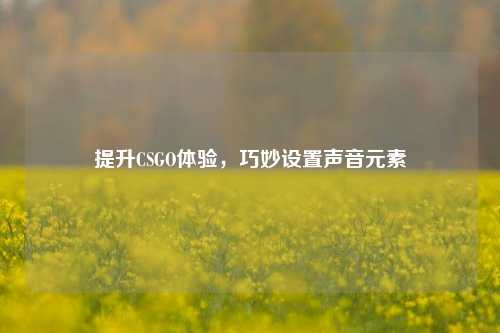 提升CSGO体验，巧妙设置声音元素