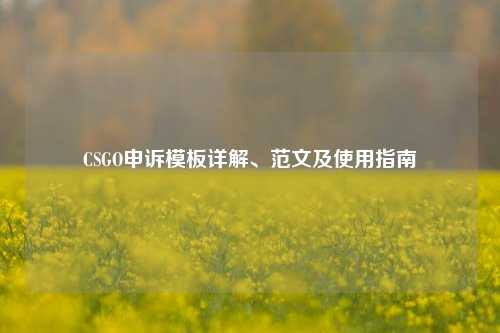 CSGO申诉模板详解、范文及使用指南