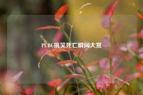 PUBG搞笑死亡瞬间大赏