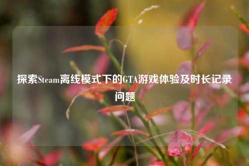 探索Steam离线模式下的GTA游戏体验及时长记录问题